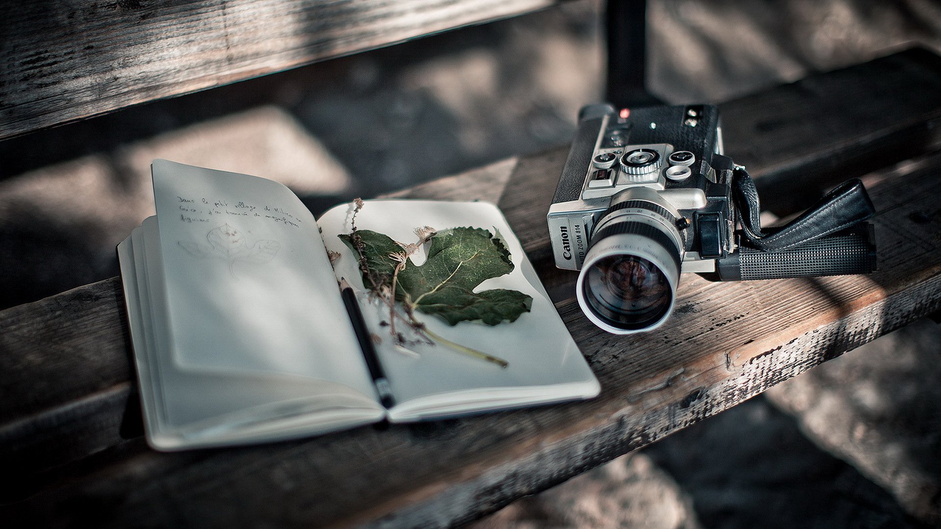 kamera książka tło