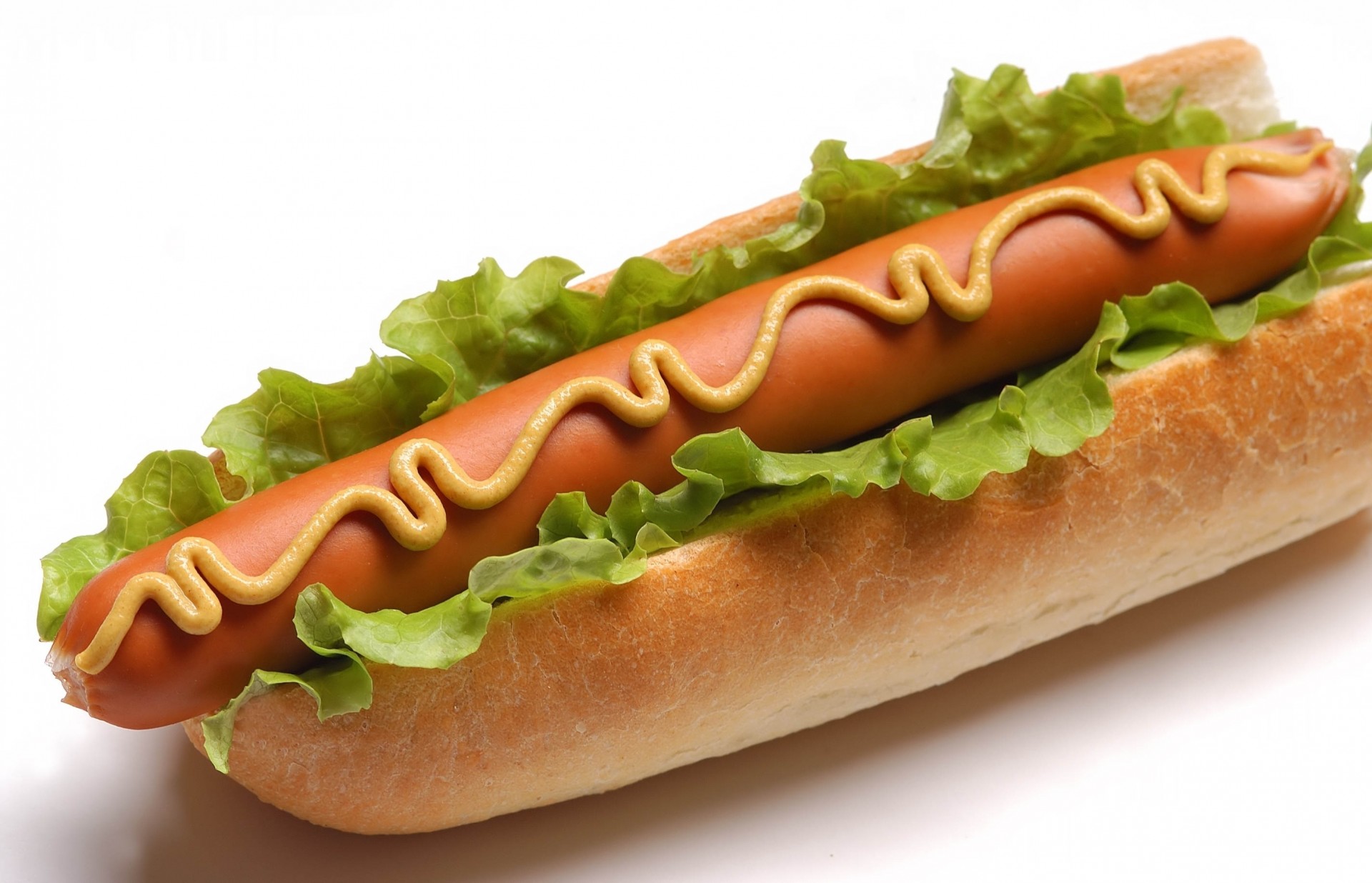 kiełbaski kanapka białe tło kapusta musztarda