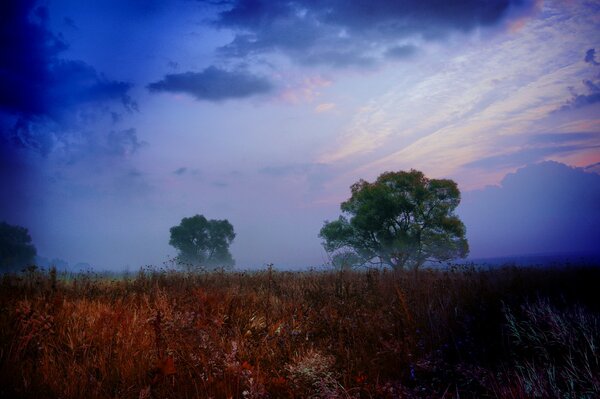 Wieczorny Pejzaż natury