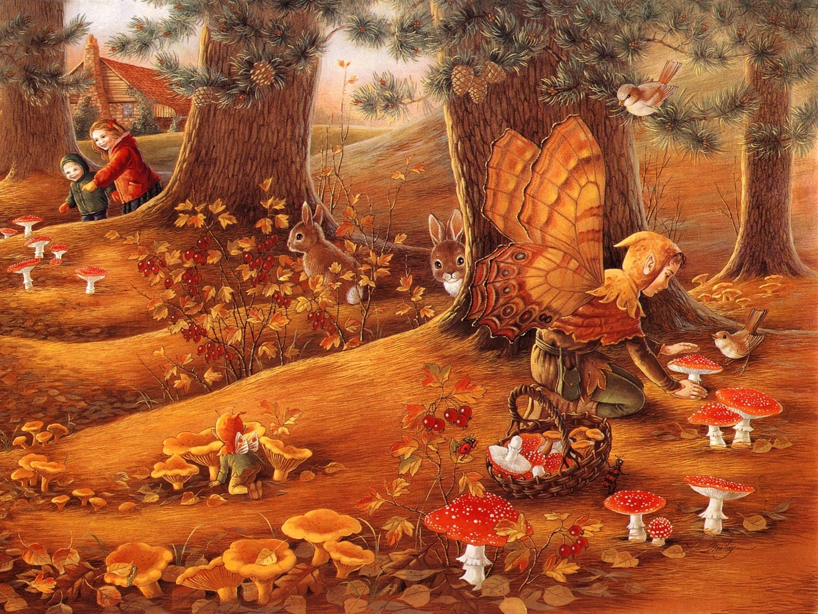 muchomory grzyby króliki