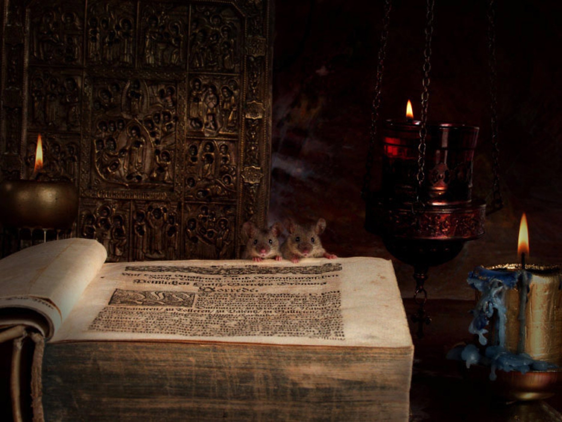 książka mysz świeca