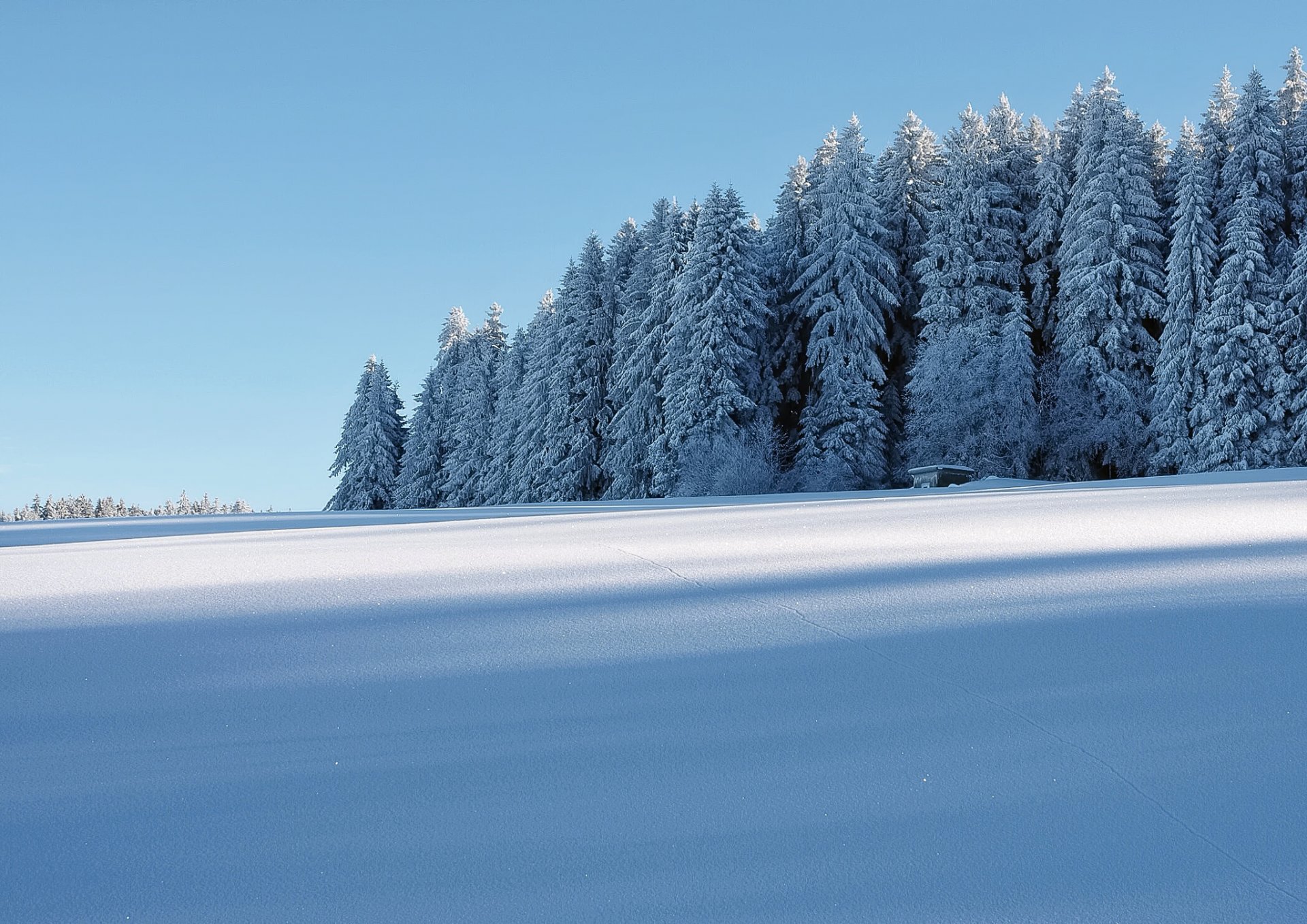 zima śnieg las domek szron