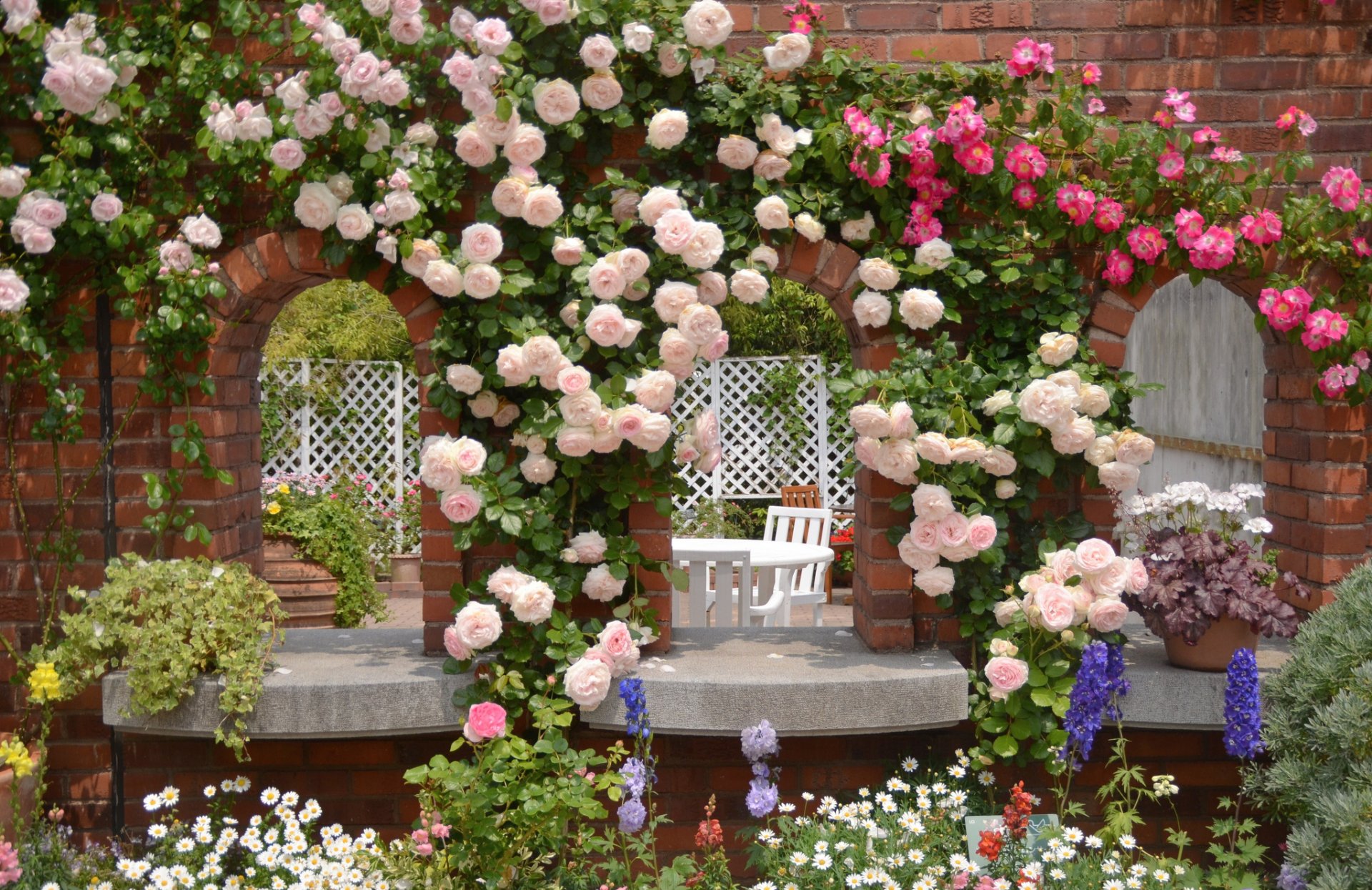 ogród róże stokrotki kwiaty