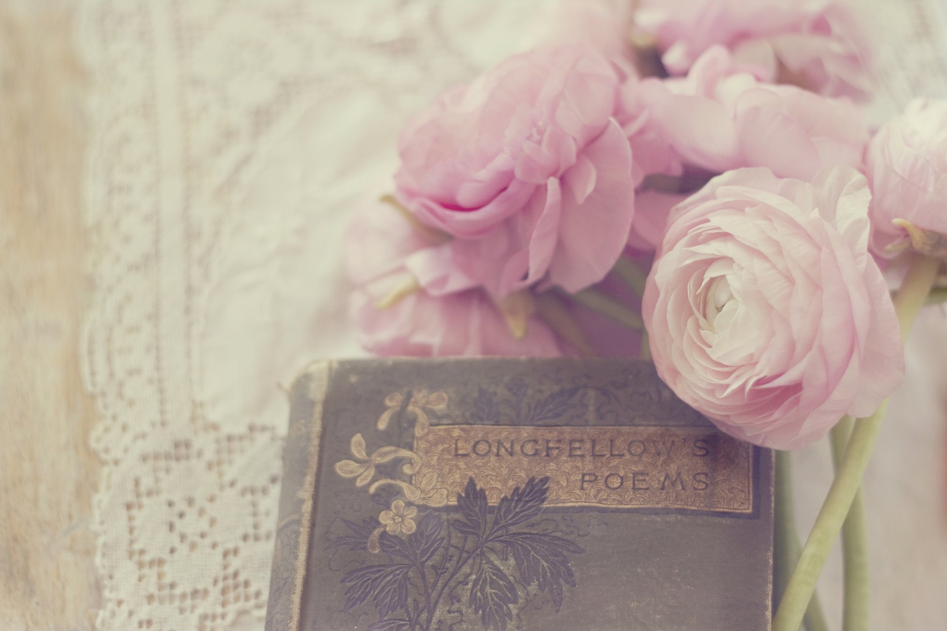 jaskry jaskier kwiaty pąki płatki biały różowy książka wiersze