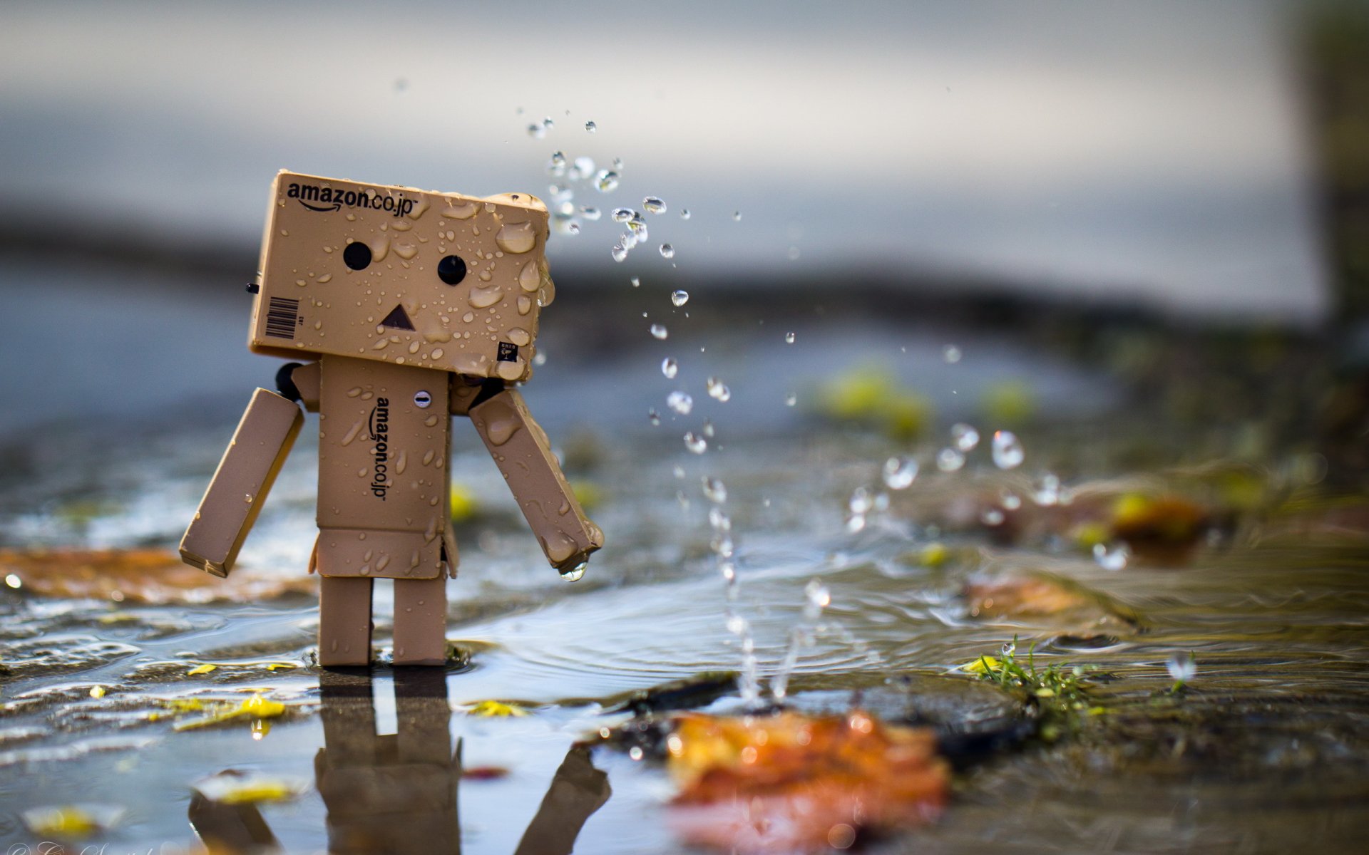 amazon pudełko fontanna