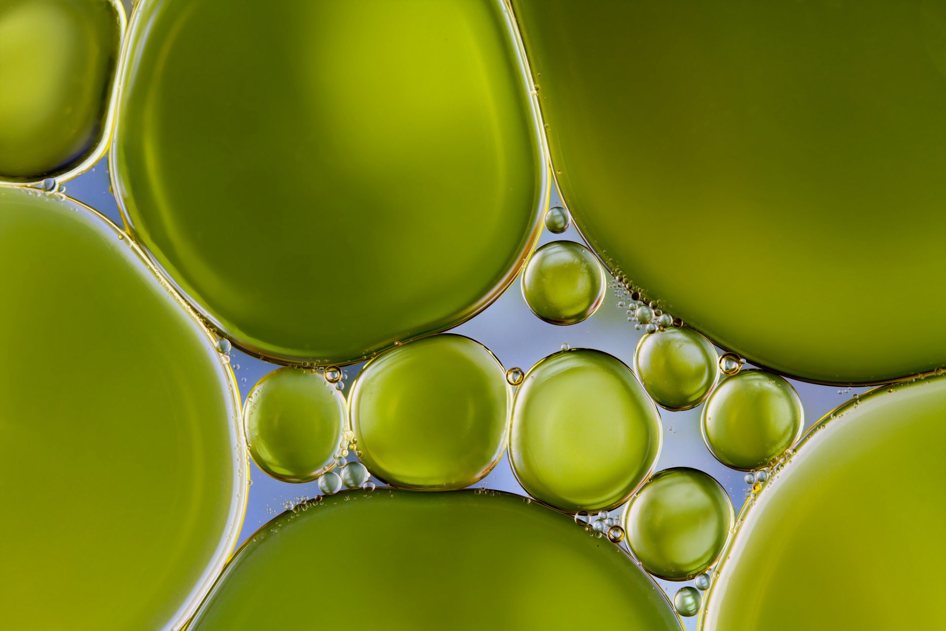 woda bąbelki bąbelki perłowa zieleń