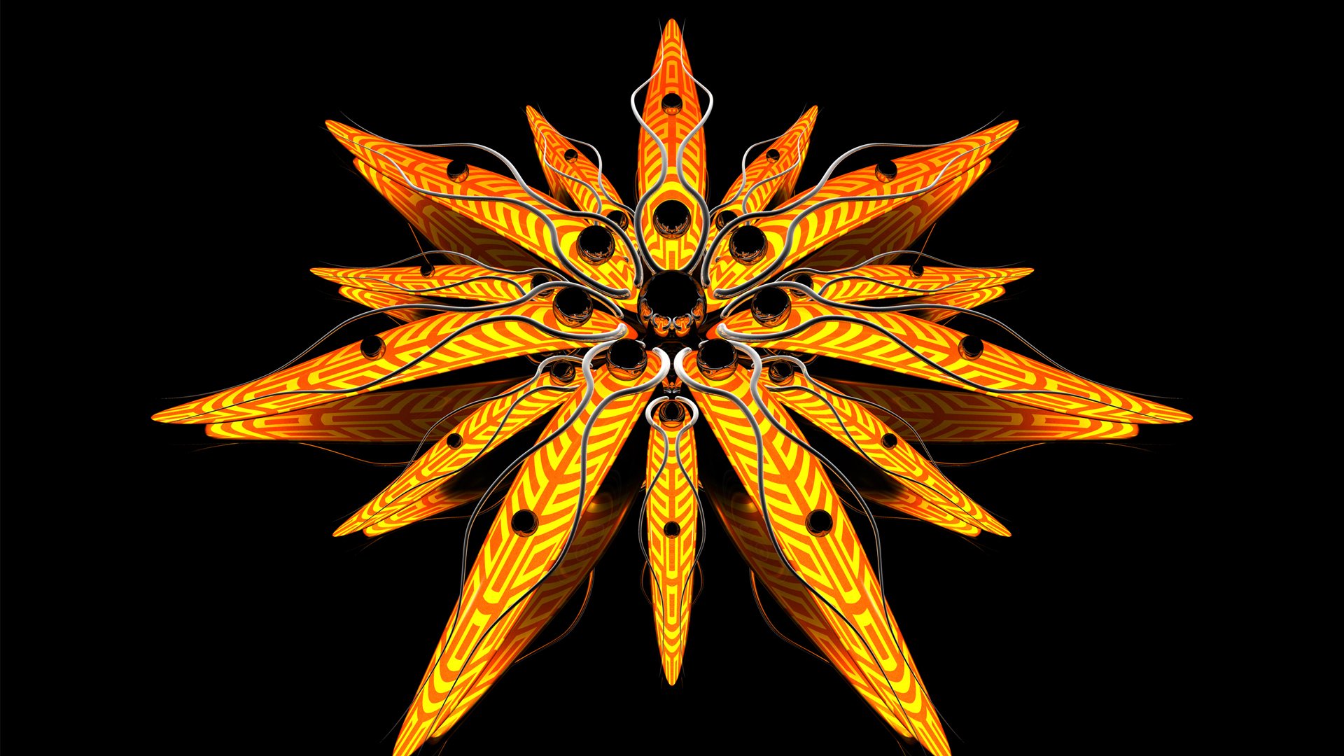 abstrakcja kwiat linie