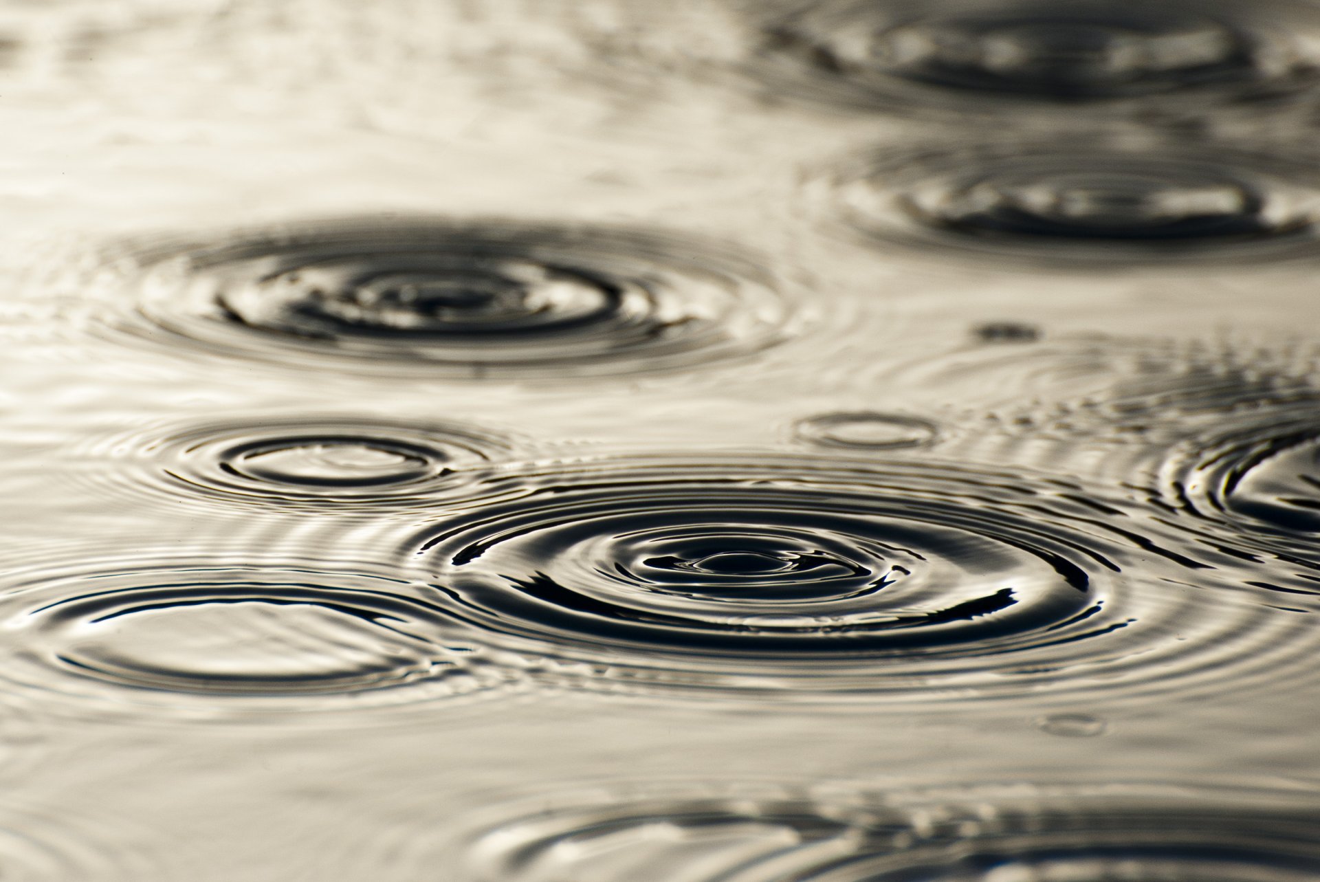 deszcz woda krople koła plamy