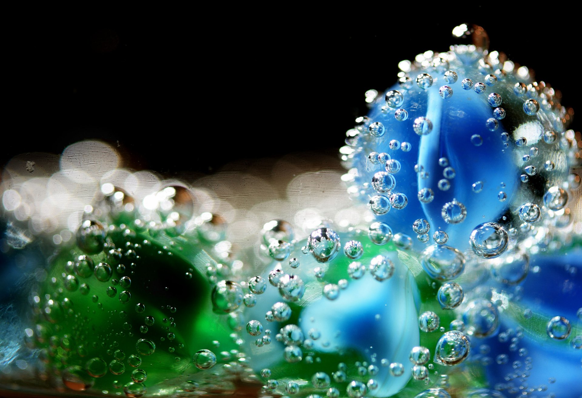 makro krople kwiat kropelki