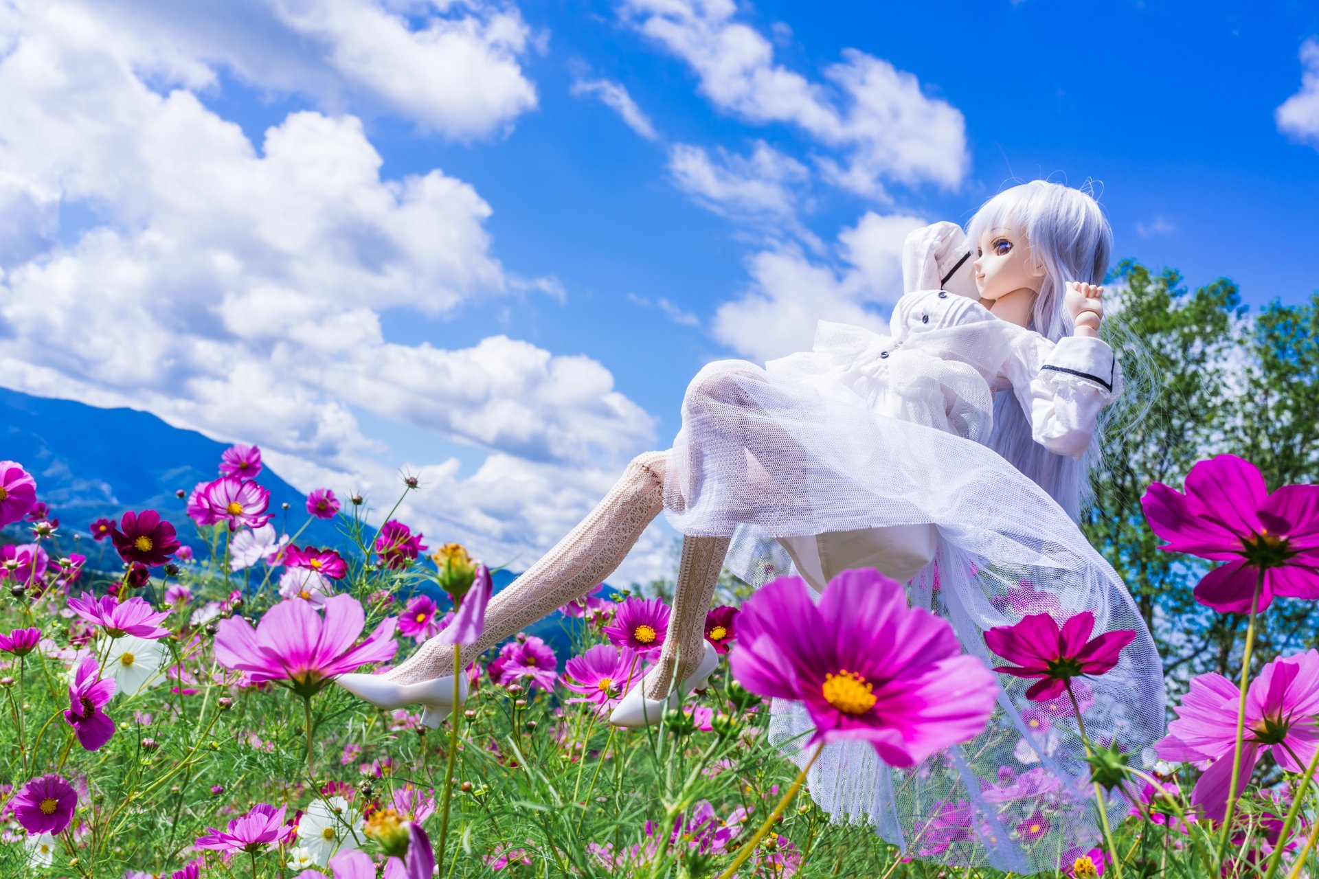 lalka zabawka kwiaty cosmea łąka chmury nastrój