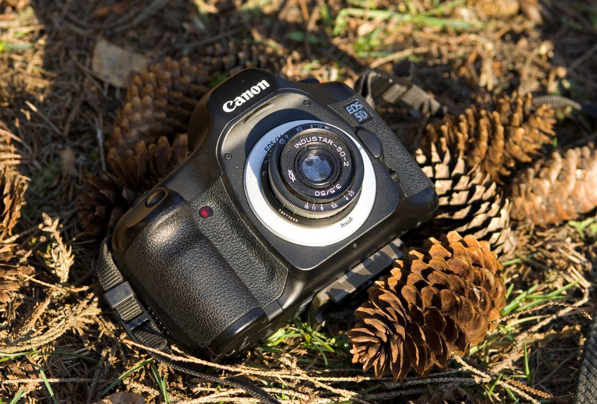 aparat canon guzy tło rozmycie