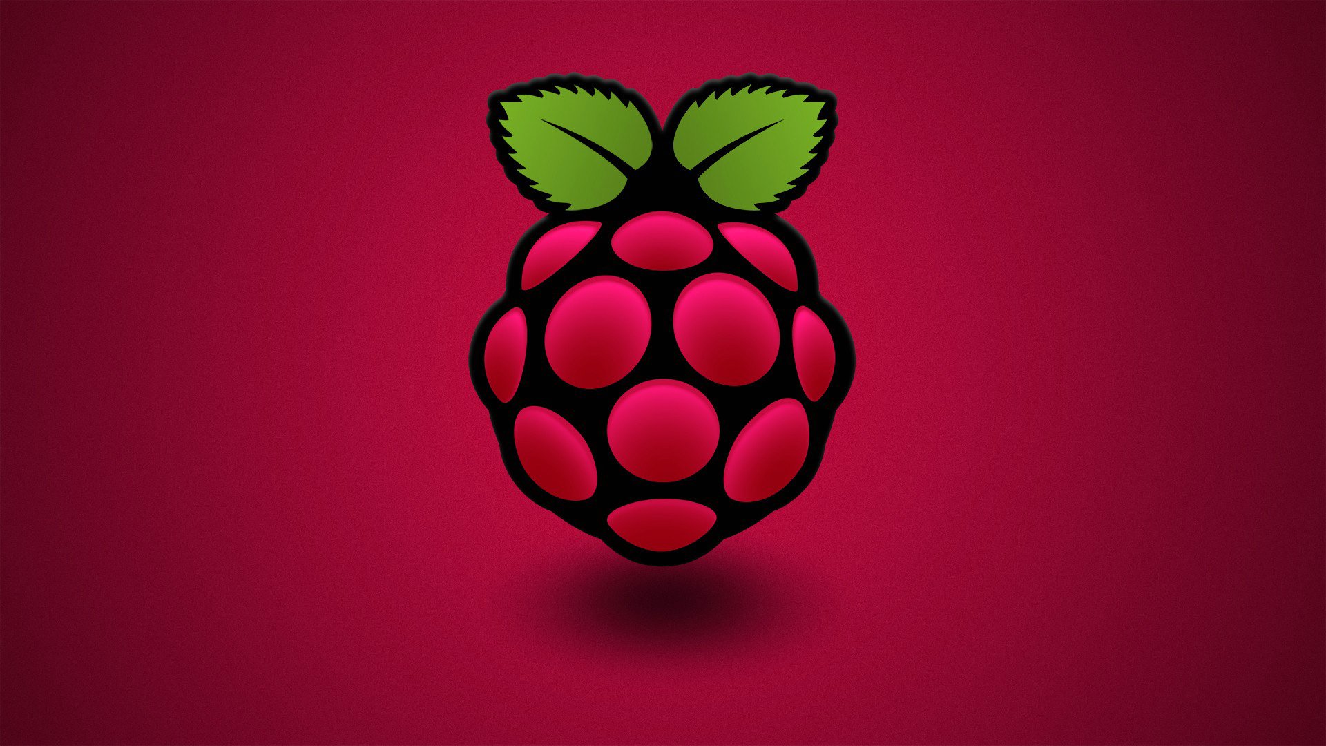 jagoda malina liść kolor komputer raspberry pi