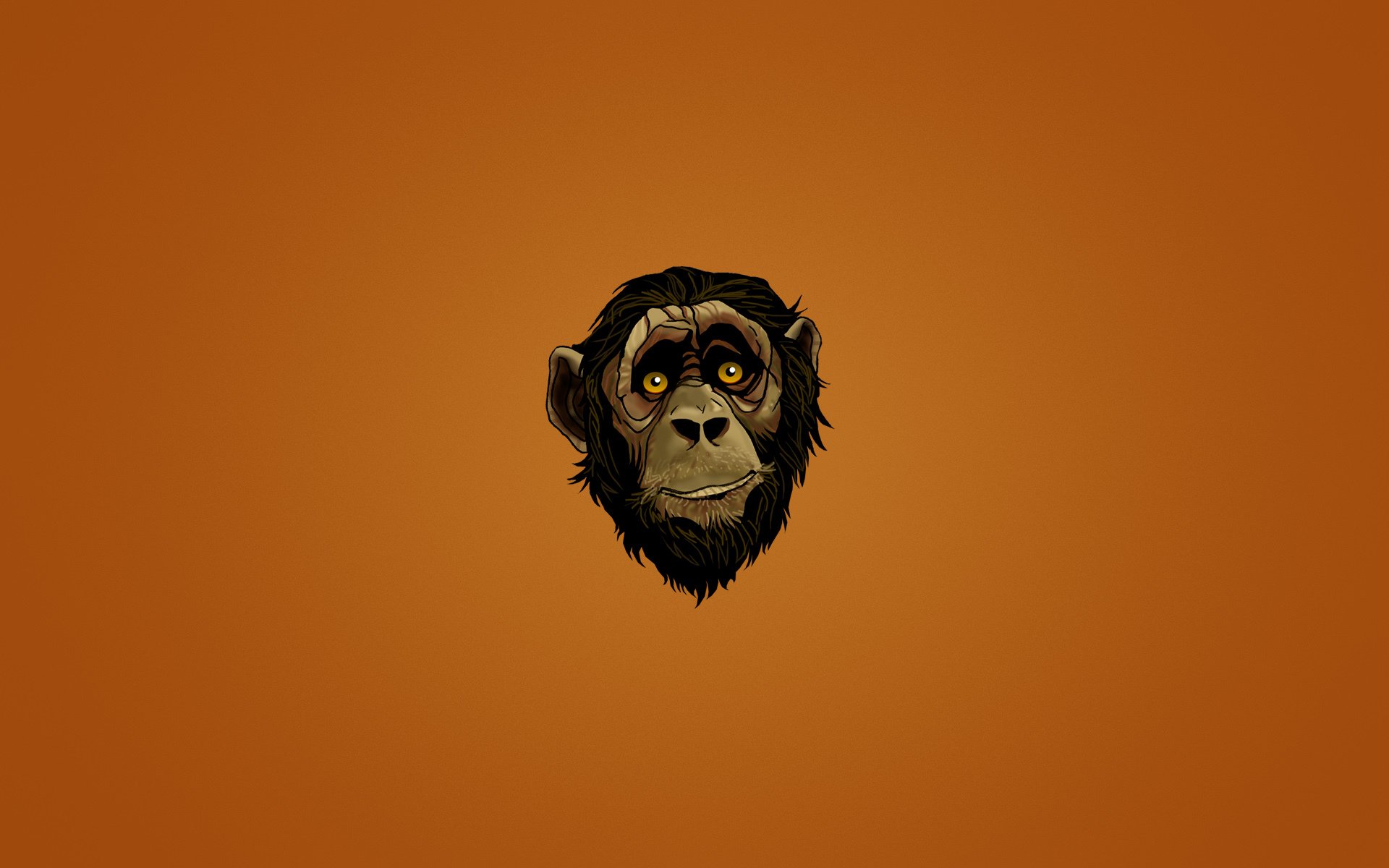 małpa pysk głowa twarz spojrzenie ciemne tło minimalizm