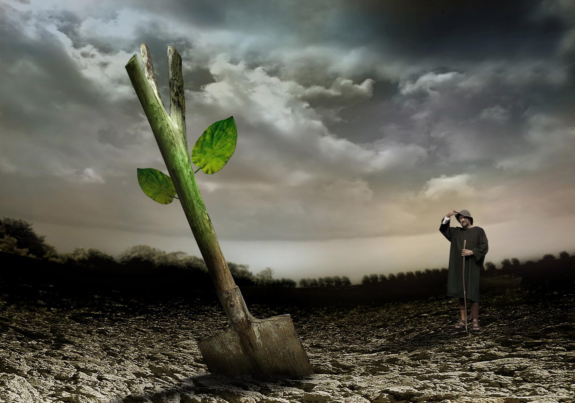 łopata kiełek życie