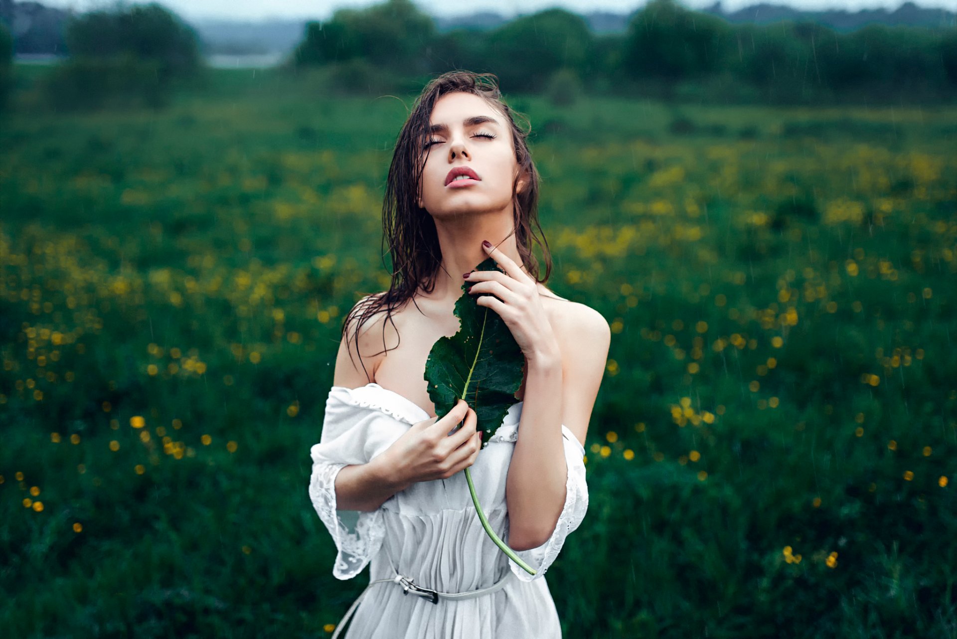 wiosna deszcz wika victoria wiosna deszcz liść jerzy czerniadiew