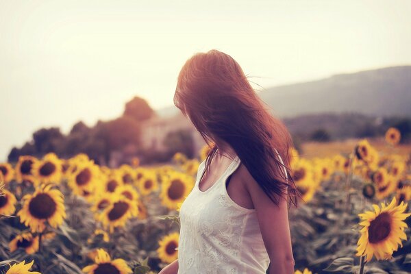 Dziewczyna w polu żółtych słoneczników