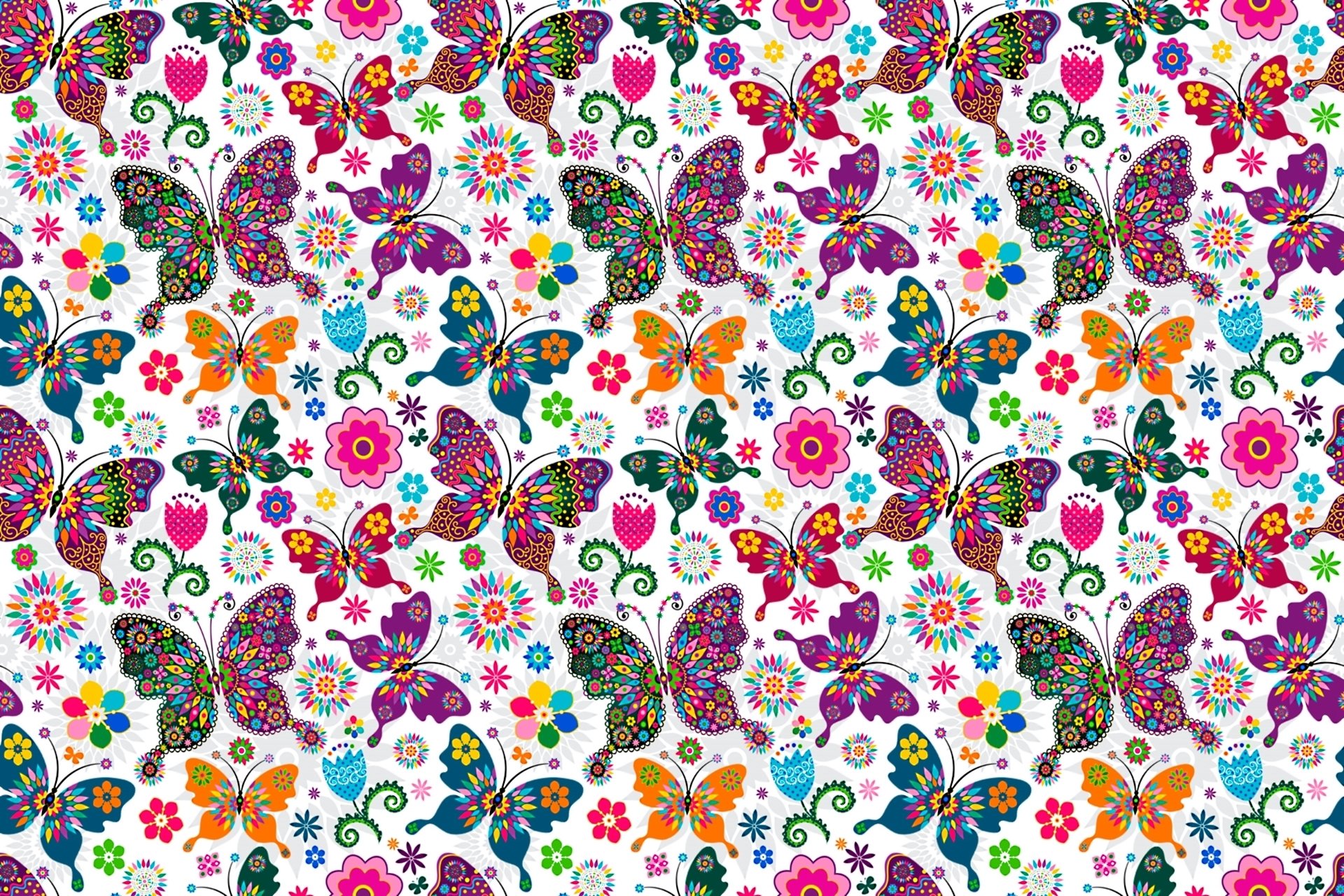 motyle wzór skrzydła