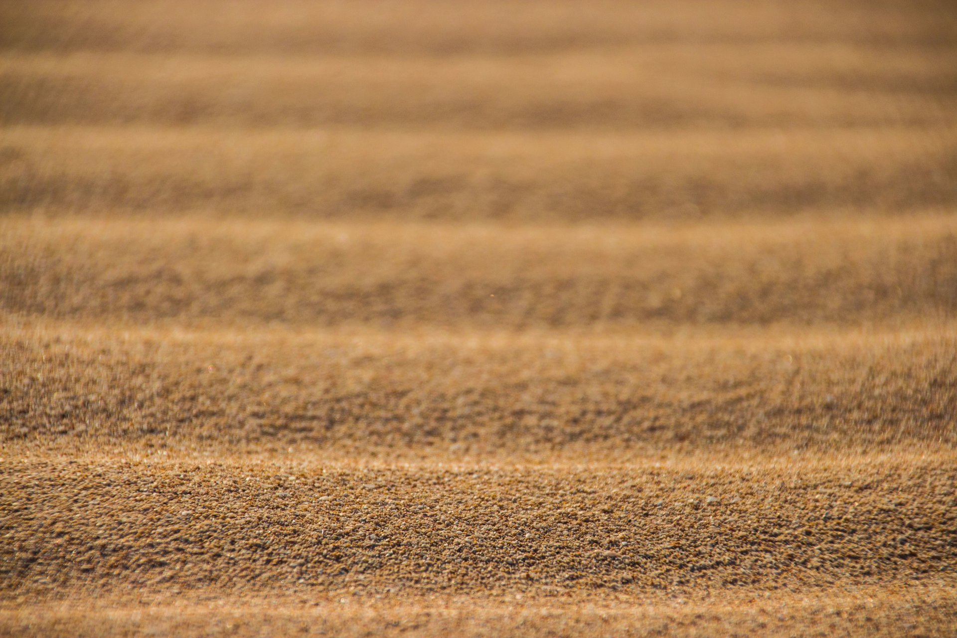 pustynia piasek tekstura