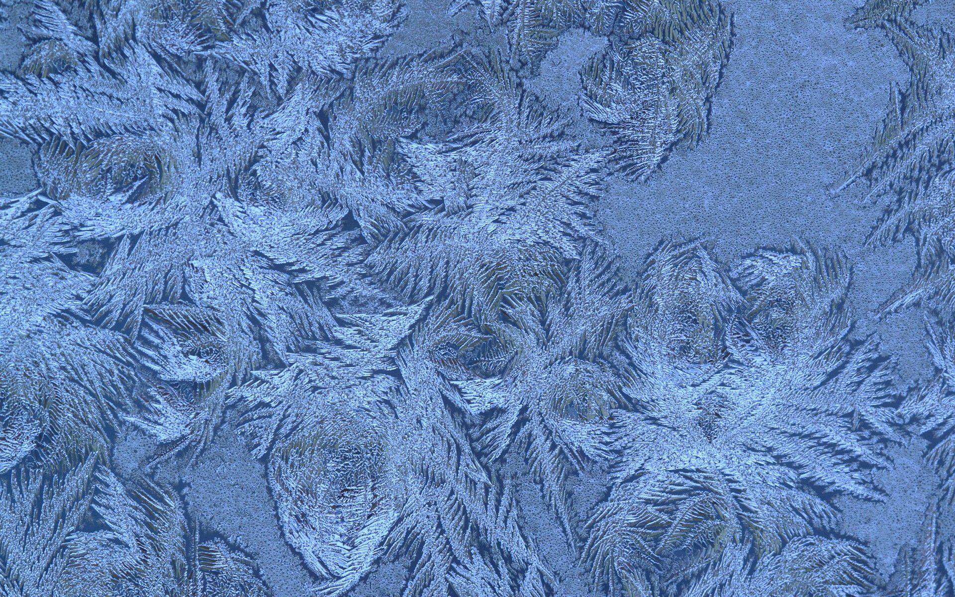 zima płatki śniegu wzór