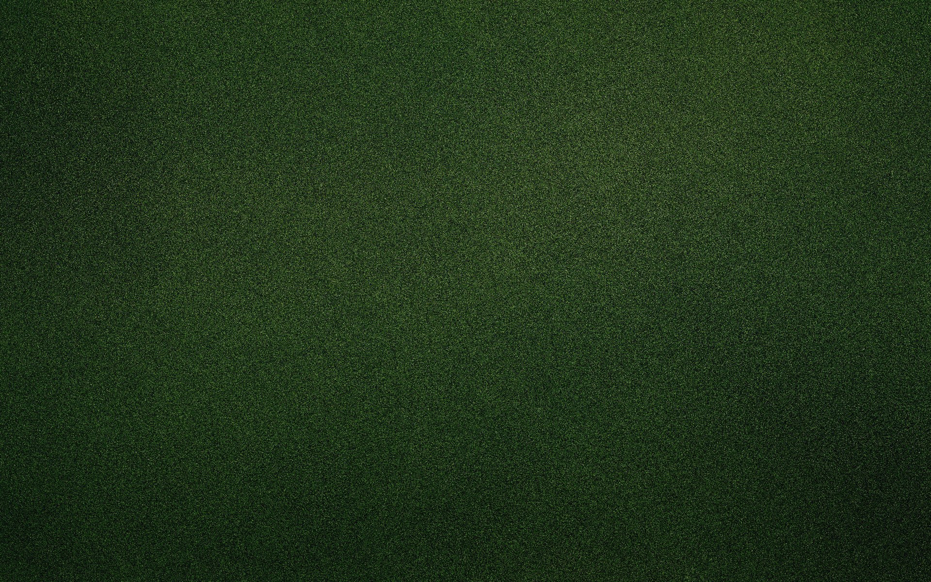 tekstura ciemny zielony