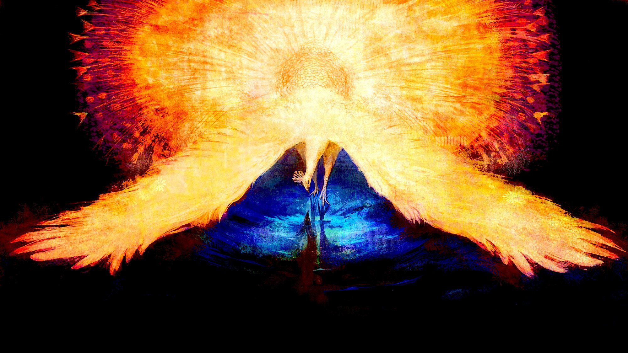 paw ogień pióra ukłon