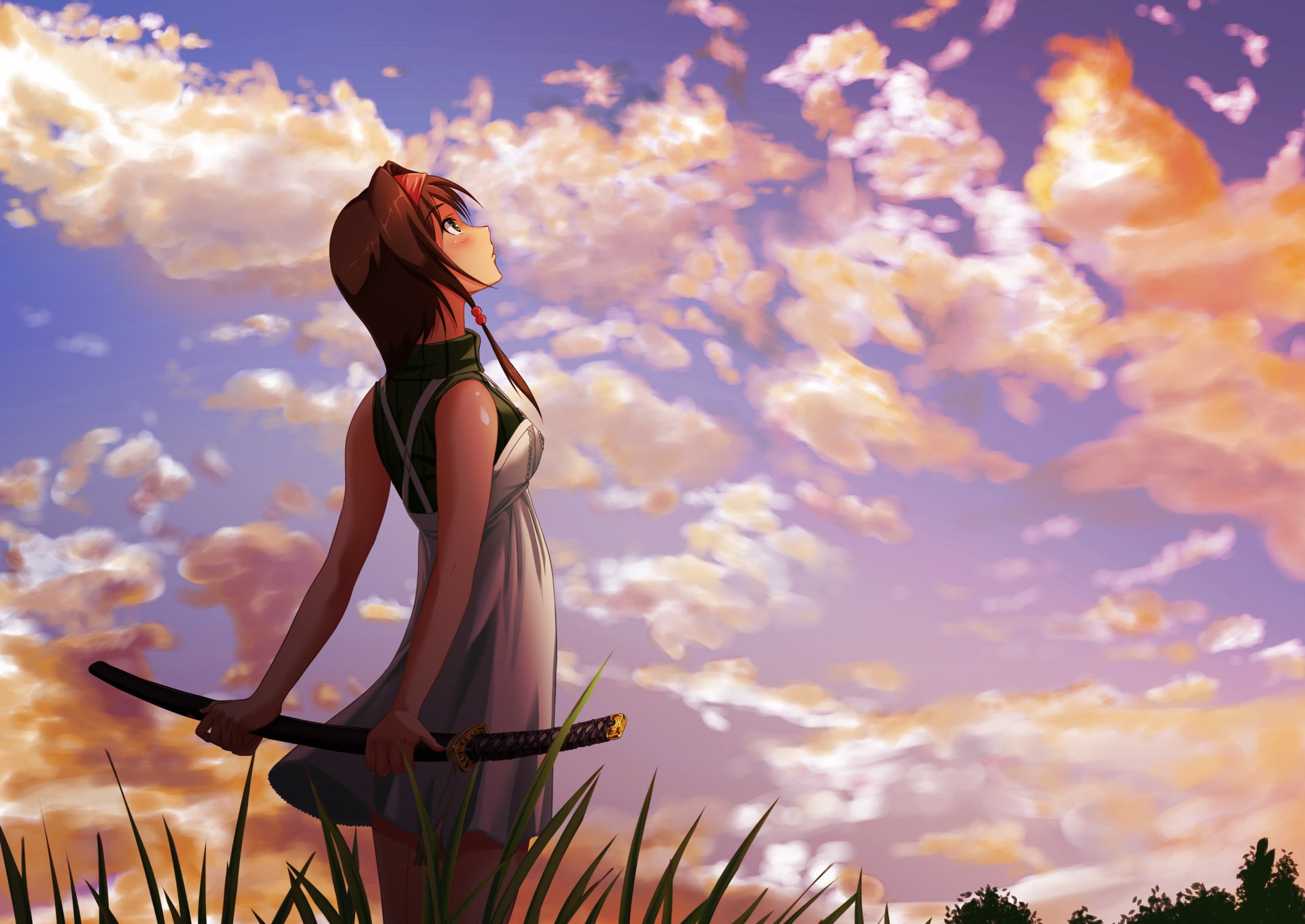 sztuka dziewczyna krajobraz katana miecz niebo chmury trawa