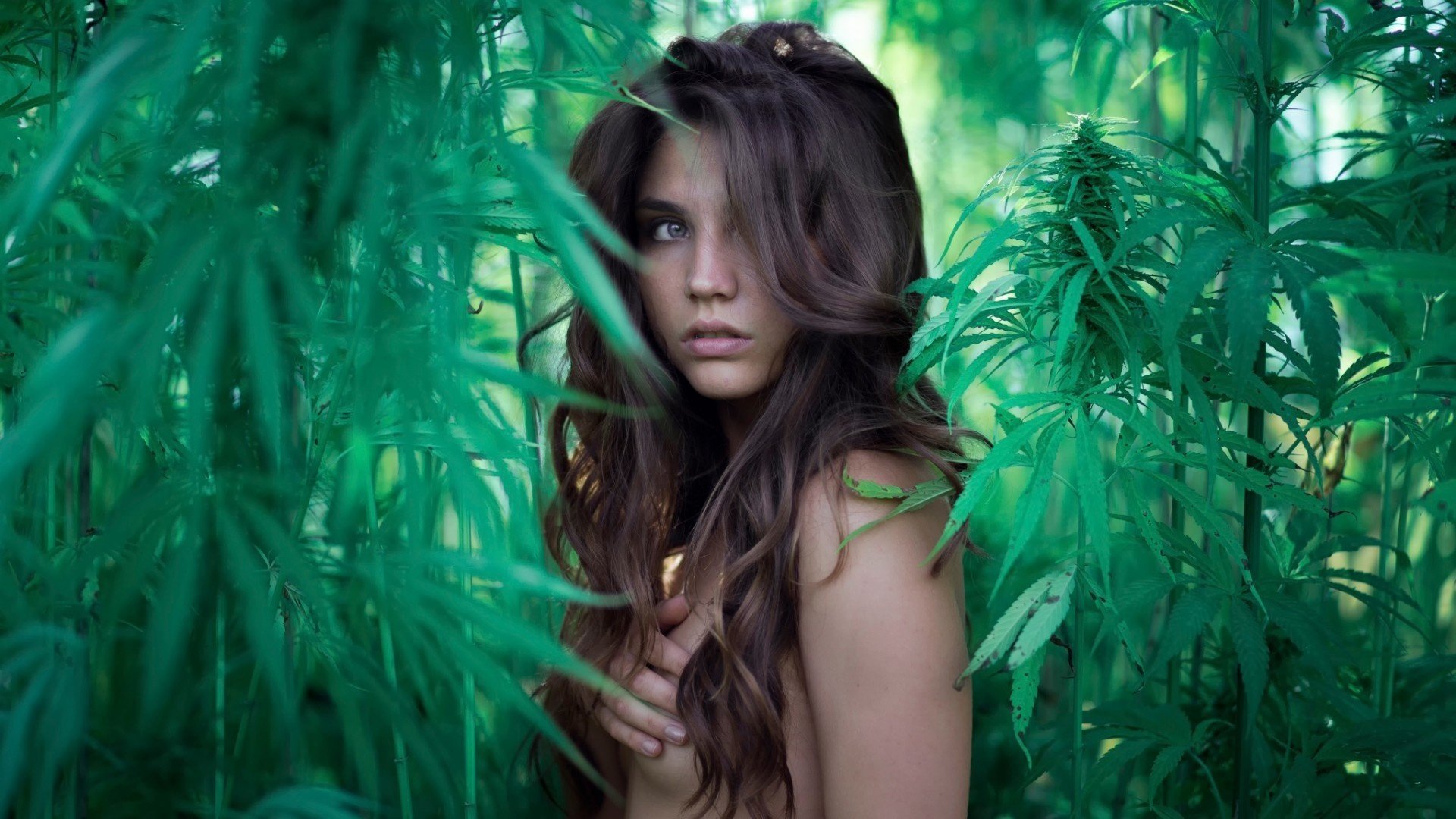 kanapka naga dziewczyna zieleń spojrzenie naked