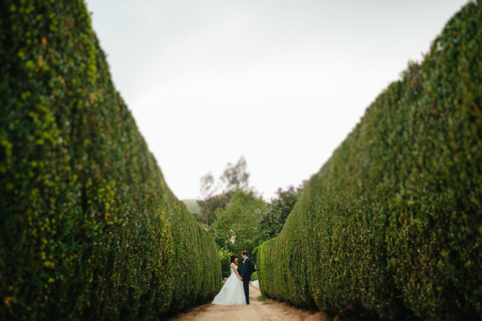 pan młody panna młoda garnitur sukienka kochankowie