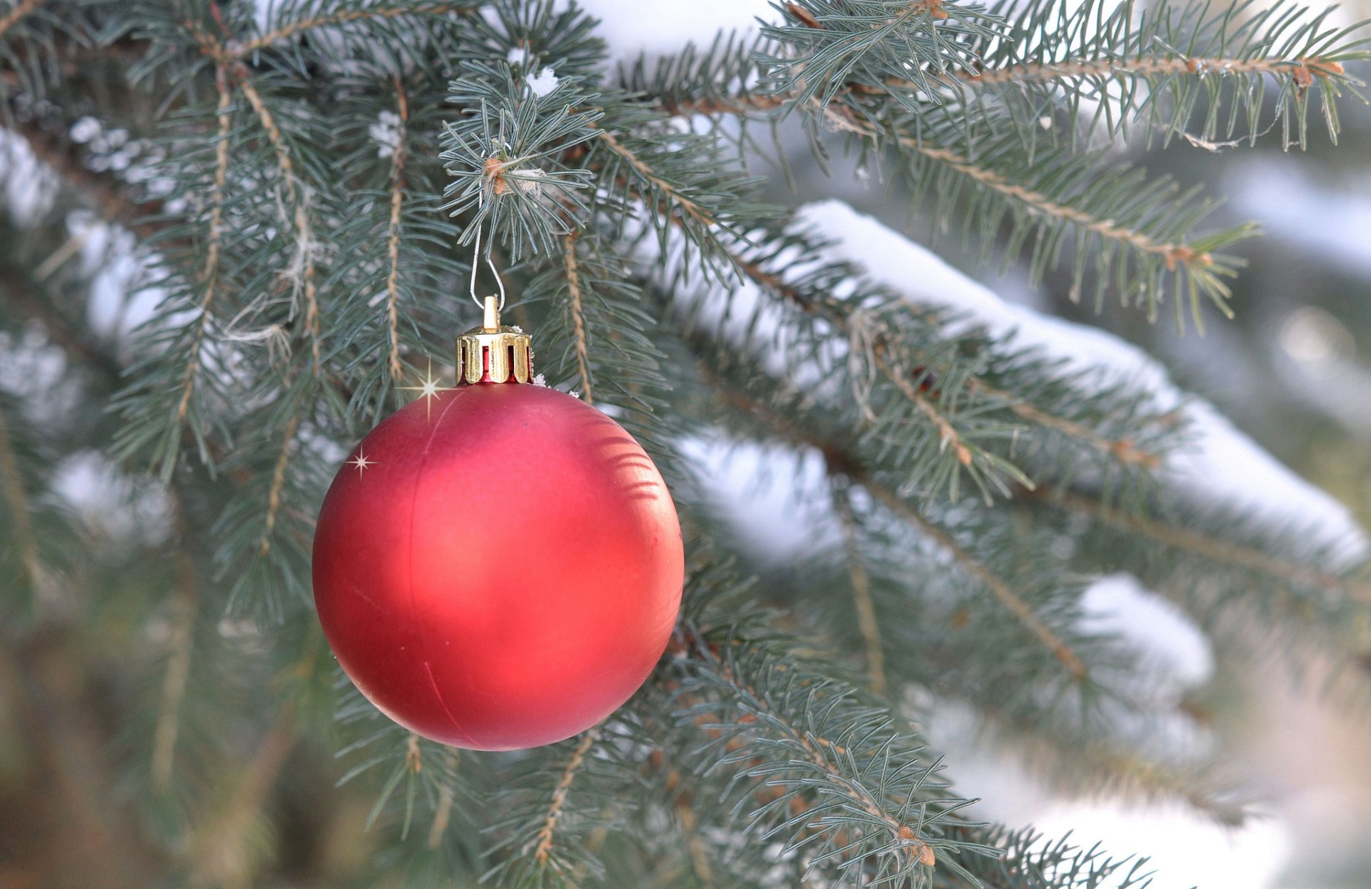 świerk gałąź piłka dekoracja nowy rok boże narodzenie