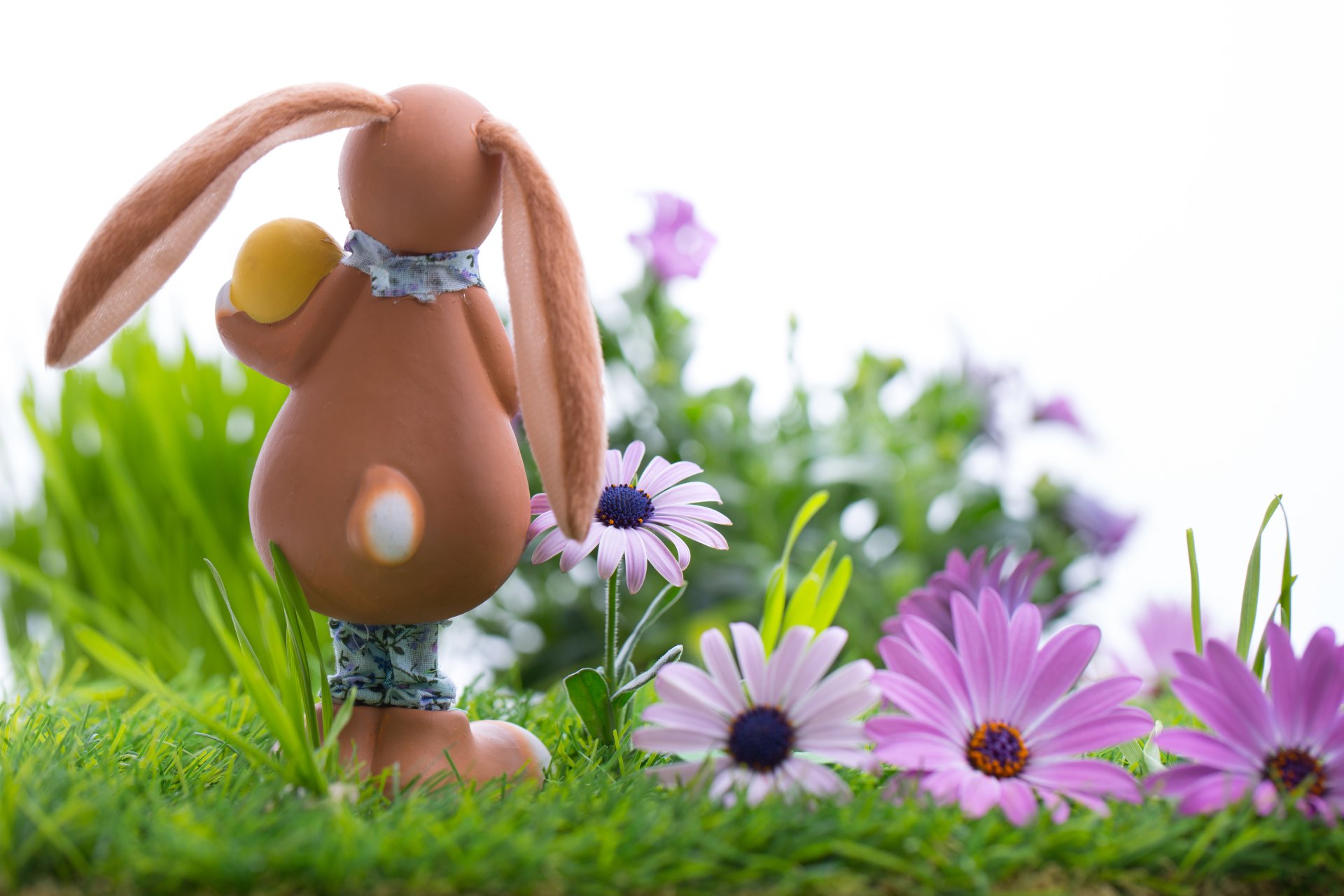 wielkanoc jajka pisanki wielkanocne