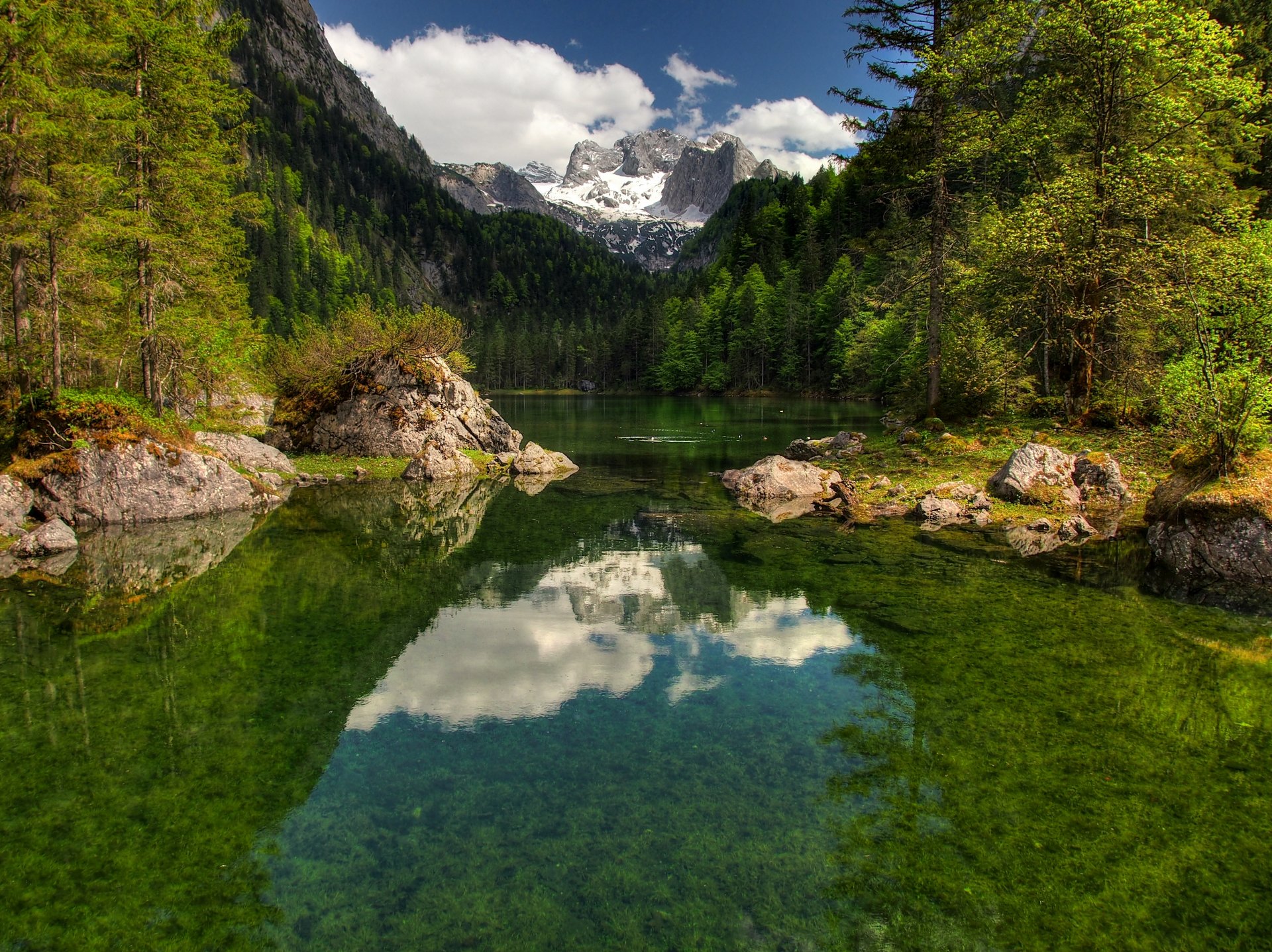 austria dachstein republik österreich republika austrija osztrák köztársaság republika avstrija góra dachstein