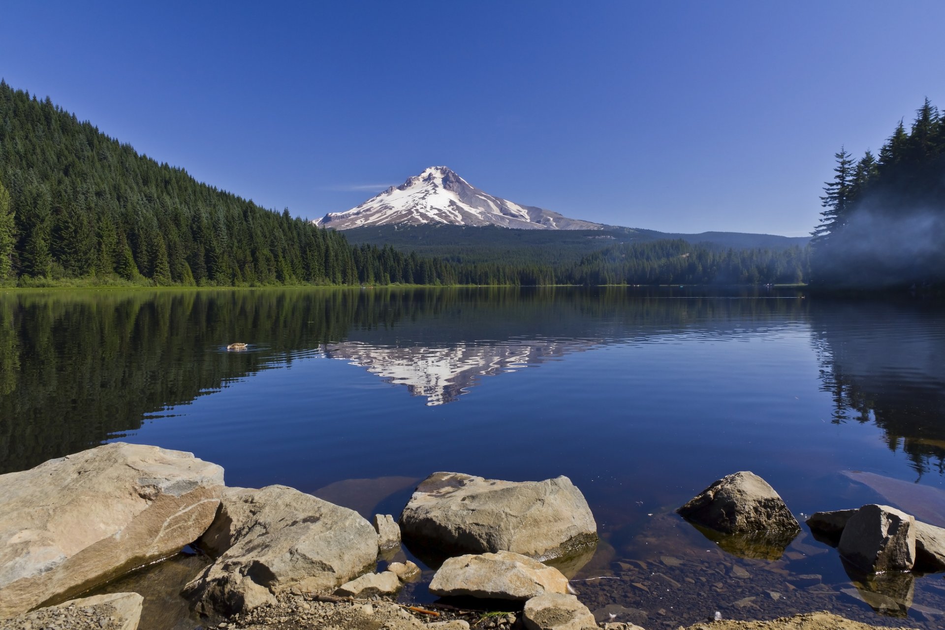 trillium lake oregon mount hood trillium lake mount hood odbicie skały las