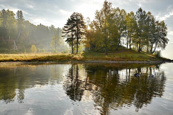 Drzewa odbijają się w wodzie, krajobraz